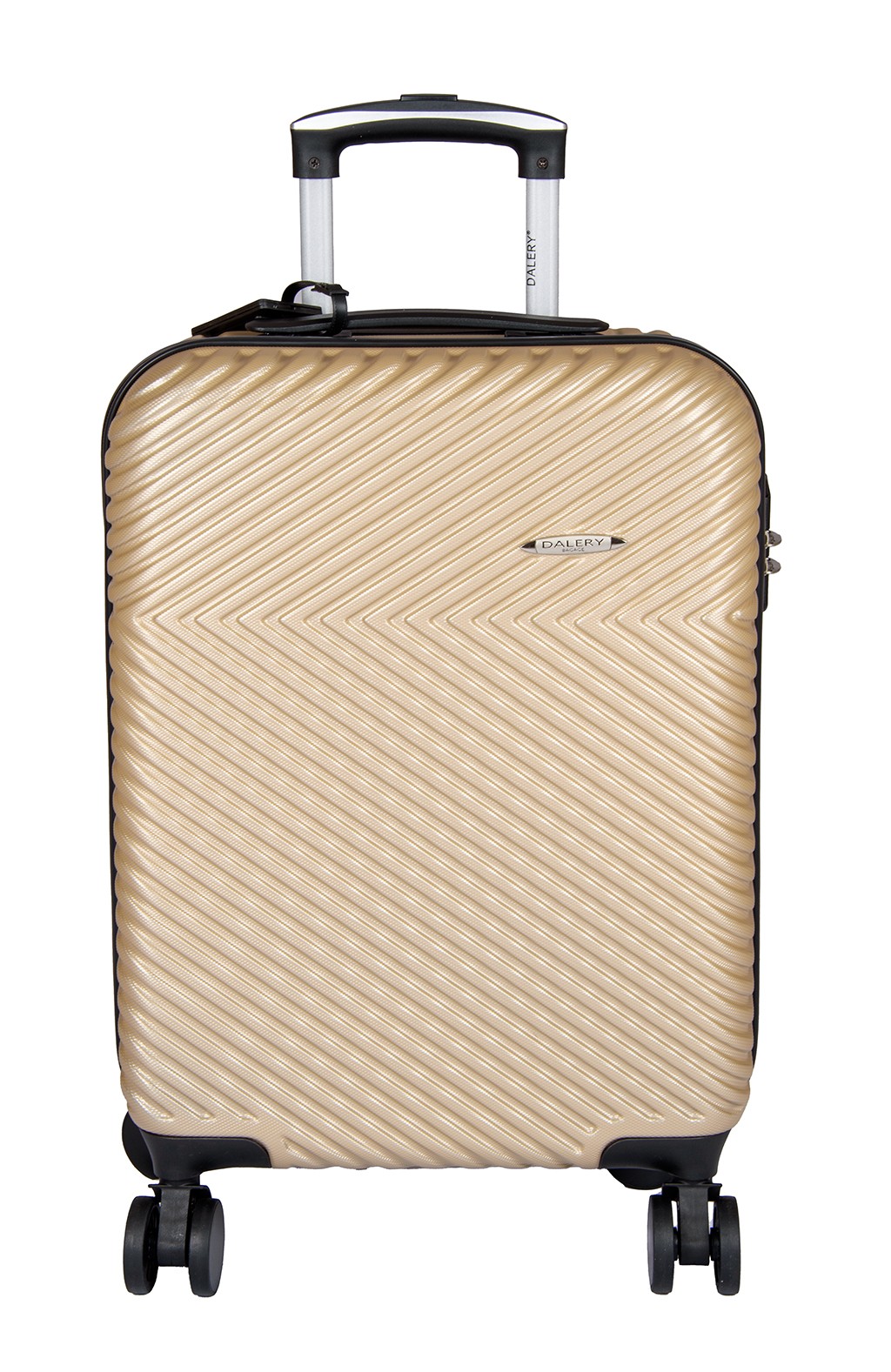 50cm Luggage (ROCK)
