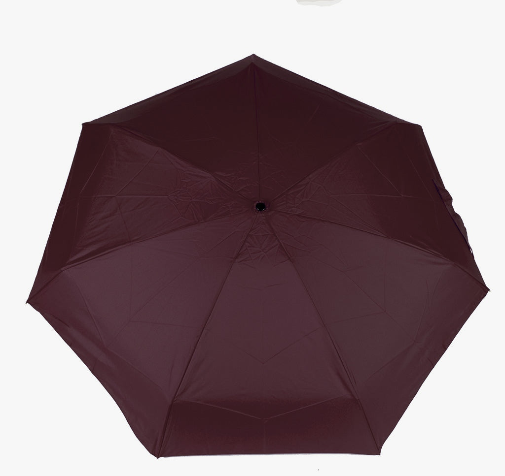 Parapluie (DD0806)