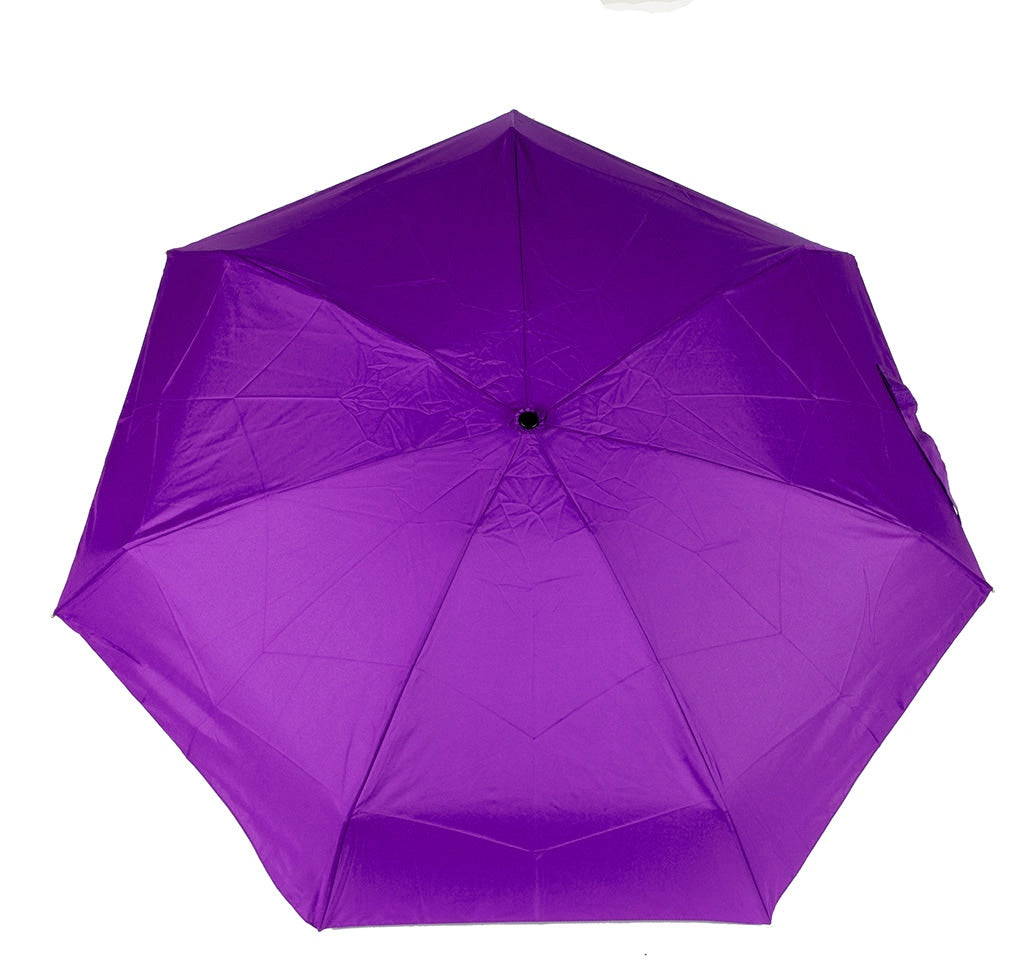 Parapluie (DD0806)