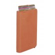 Porte cartes (ARGON2)