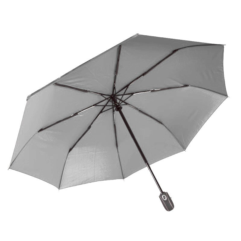 Parapluie  (DD0804)