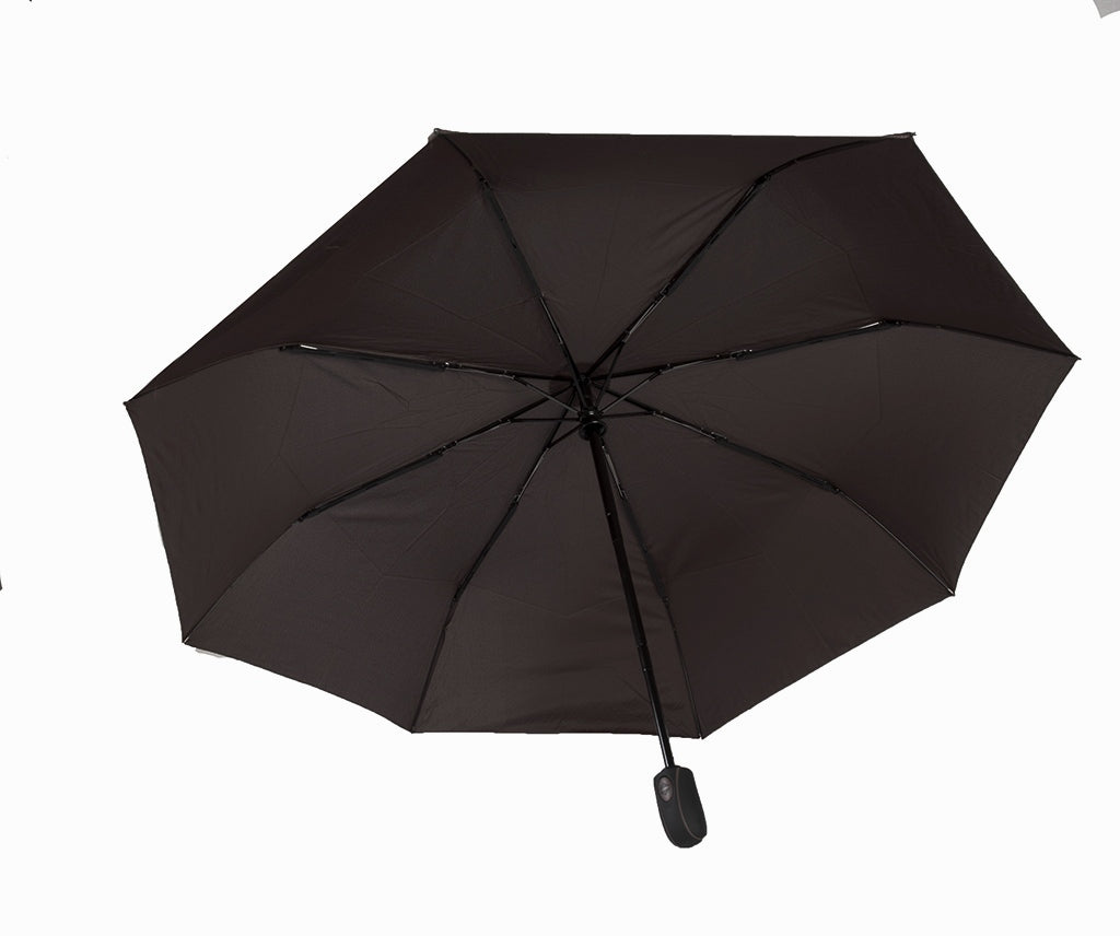 Parapluie  (DD0804)