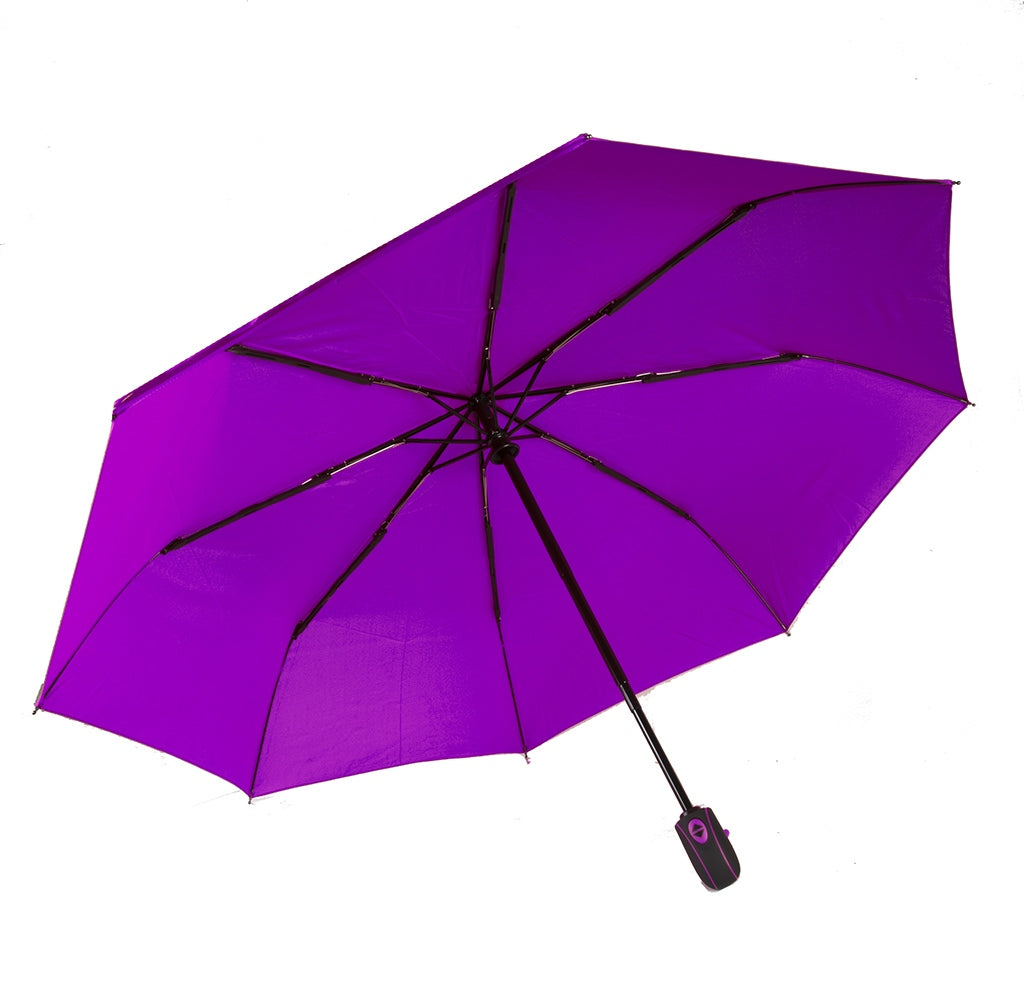 Parapluie  (DD0804)