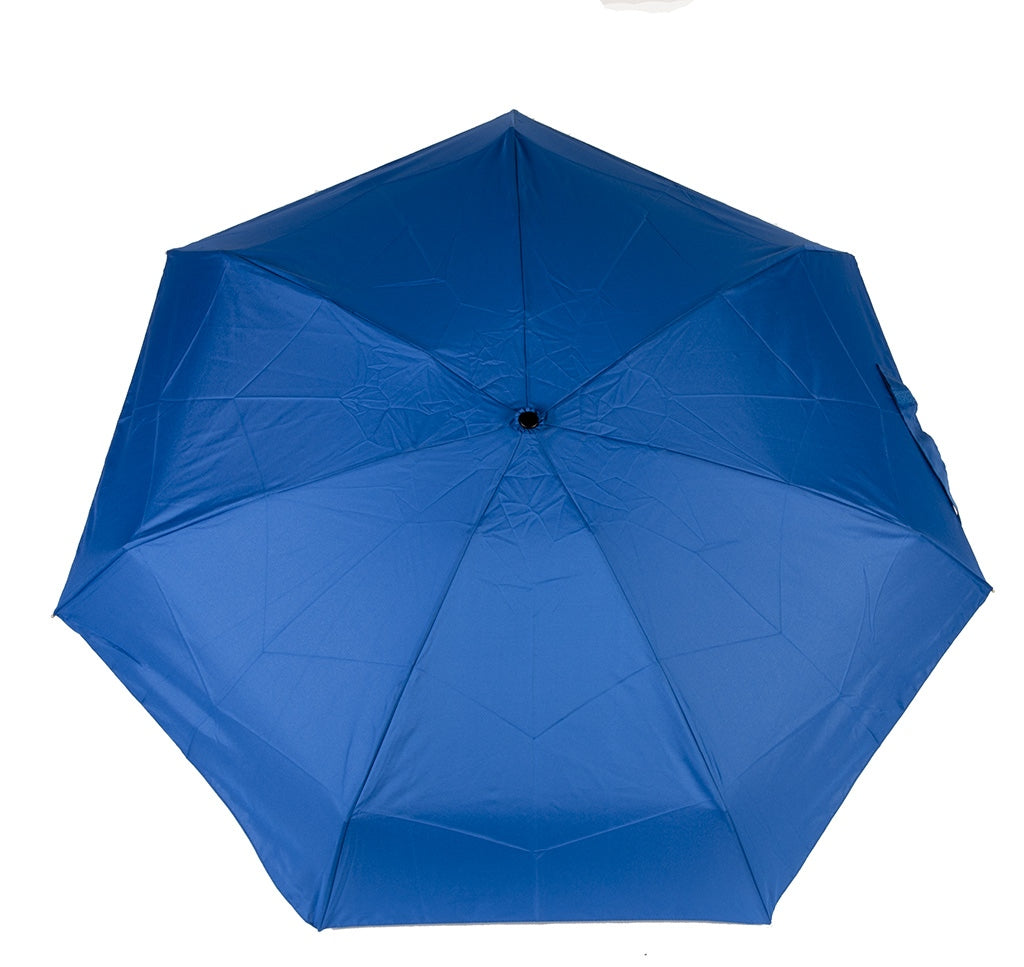 Parapluie  (DD0806)