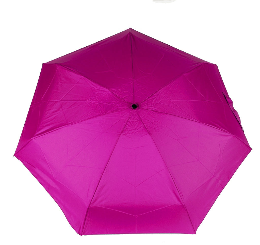 Parapluie  (DD0806)