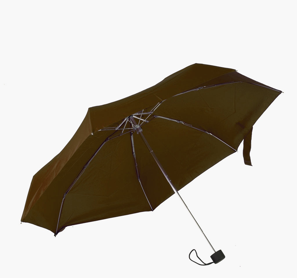 Parapluie  (DD0806)