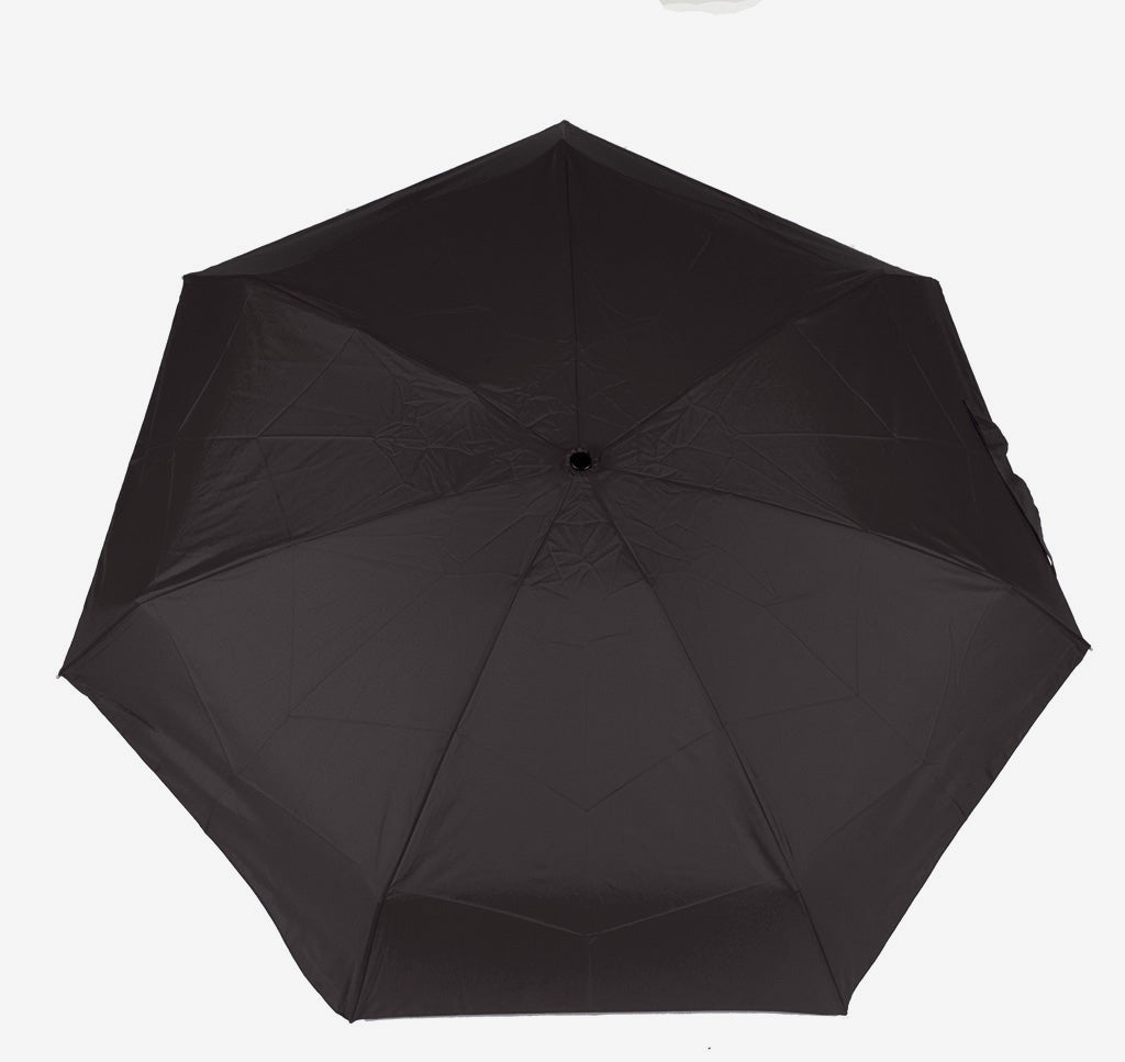 Parapluie  (DD0806)