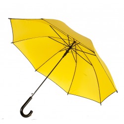 Parapluie Femme (DD0802)