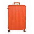 Bagage 60cm (LONDRES)
