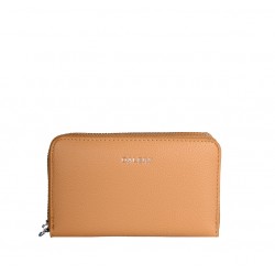 Compagnon DDPM1390A