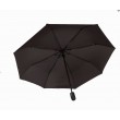 Parapluie Femme (D10101)