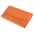 Compagnon LC002