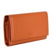 Compagnon LC001